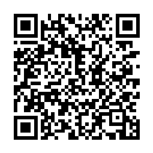 孤儿院内的人在前面半年的时间中都已经陆陆续续被领养走二维码生成