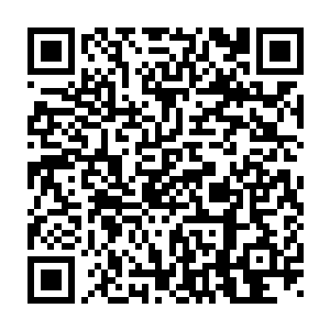 学城们的上位大学者们将之视为记载位面历史变迁的永恒不倒的象征二维码生成