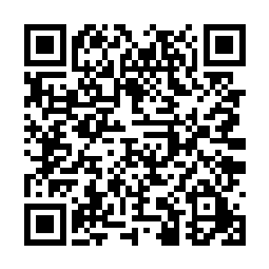 学校里派来参加挂牌仪式的小领导还有蔡教授陪同二维码生成
