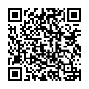 学校里的孩子们怎么就充满了暴力倾向和杀气戾气二维码生成