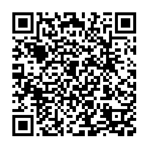 学生无意中在茶楼听过一位游吟诗人说起上古先秦奇女子王昭君的故事二维码生成