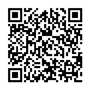 孩子也只是一手牵着那匹系挂有大个子遗物铁甲的战马二维码生成