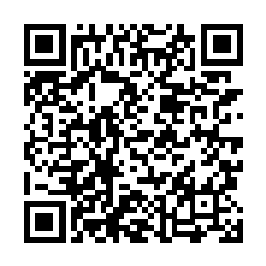 孩子的父母已经在三年前的内战中双双丧命于政府军手里二维码生成