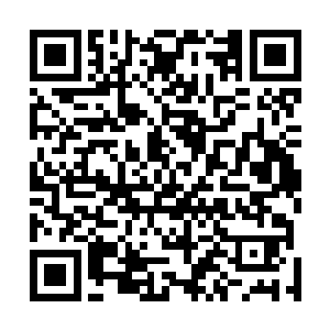 宁侯夫人还让自己的儿子媳妇一块在老祖宗面前刷存在感二维码生成