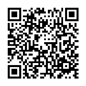宁少群便是带着叶尊他们二人来到了一处乱石满地的地方二维码生成
