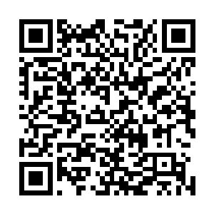 宁师古宁衙内和张常张先生三人一起被带到了按察使司衙署二维码生成