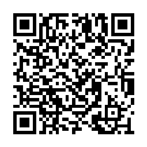 宁毅也明白这时候杀进去已经不是什么好的对策二维码生成