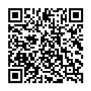 宁氏的最高掌权者宁恩便让部分子弟也进入天元学习二维码生成