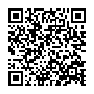 宁王府邸外的禁军及宁王府内的锦衣卫已经全都撤走了二维码生成