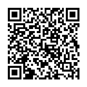 宁肯付出生命的代价也不妥协的念头让她的头高高昂起二维码生成