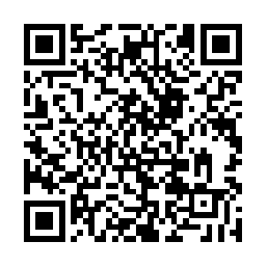 宁静的扫望着一那个一直安坐在舞池角落的陌生青年二维码生成