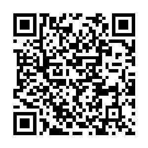 宁风开始飞快回放刚才毒蜂战梭拍摄到的监控画面二维码生成