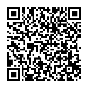 它……我的错误人格……不知从什么时候起……开始不断分裂和复制二维码生成