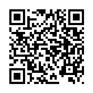 它一只看着几只很漂亮的小狗狗叫二维码生成