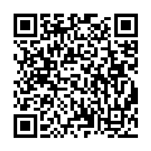 它不过是想将这群渺小愚蠢的人类赶回去给它的宝贝当玩具二维码生成