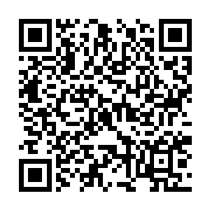 它们一只只都有人头般大小踏着血浪迅捷地行进着二维码生成