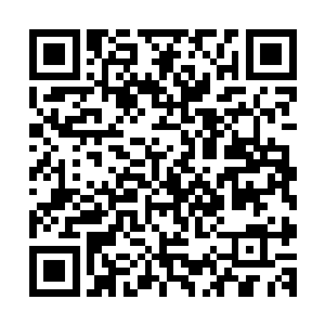 它们在创造生物之前就会剥夺这些被创造出来生物的很多能力二维码生成