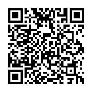 它们在陆地上或者是海洋里当霸王的时间太长了二维码生成