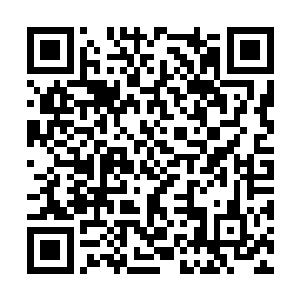 它们所过之处造成的损伤竟然比叶问天造成的还多二维码生成