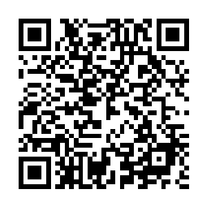 它们收集到的法宝都当着双方的面扔进了熔浆湖当众销毁了二维码生成