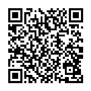 它们生命的潜能与地球上其他生命的潜能完全或者几乎不同二维码生成