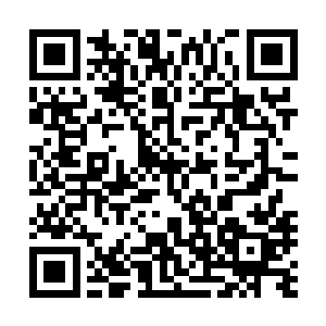 它们的主要目的就是营救那个丑陋怪异长了两只脚的小伙伴二维码生成