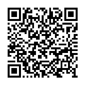 它们的意识相对于人类来说还是太单纯了呀……二维码生成
