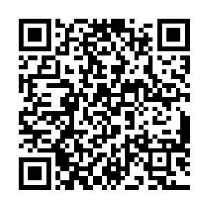 它们的身体内部结构已经在小胖的声波下被完全的改造了二维码生成