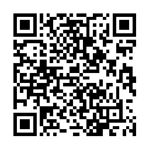 它们穿沙甲族终于也出现了类似人类祭司一样的神之宠儿吗二维码生成