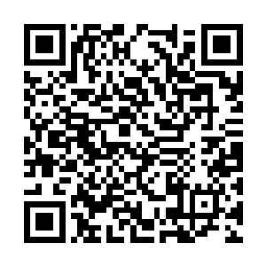 它们自然会以其他的形式在这世界发挥自己的作用二维码生成