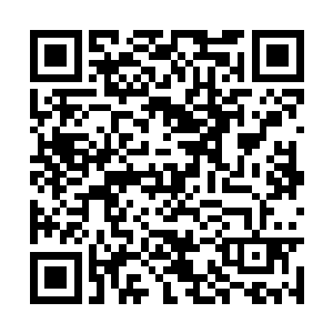 它会不会一觉睡醒发现小主人已经被自己压扁了呢二维码生成