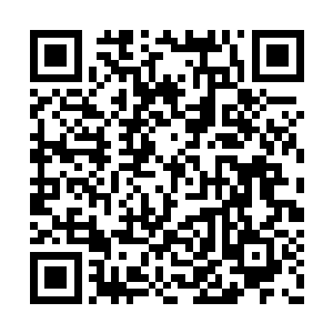 它似乎投入了大量计算力在吕轻尘的神魂碎片上二维码生成