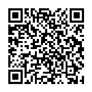 它冷冷的盯着本不该存在于这个世界上的这些生物们二维码生成