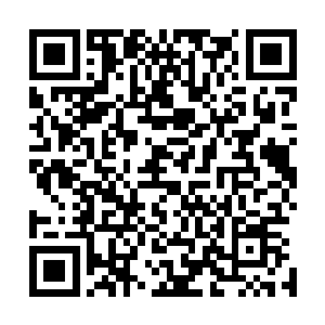 它刚刚在玉鼎战役和奇袭黄龙之战中经历过亿万炮火的侵袭二维码生成