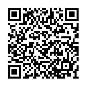 它原本肥胖的好像一个皮球一样的身子正在缩小二维码生成