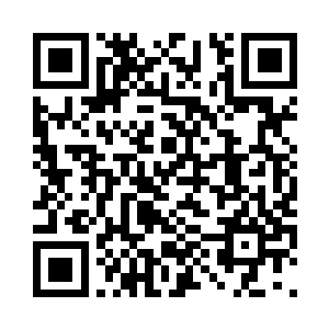 它受热之后四处乱窜撕咬老鼠的内脏二维码生成