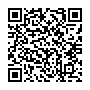 它呈现出来的大红球才是叶道陵那一拳的真实面目二维码生成