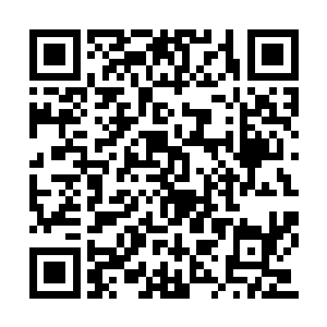 它在圣界所引出的动静之大还要超出剑尘的想象二维码生成