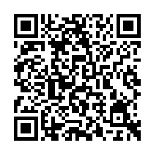 它很清楚这个家里到底谁才是说话算数的那个人二维码生成