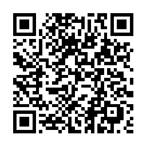 它想点缀自己的头冠才在自己居住的地方种植了一些二维码生成