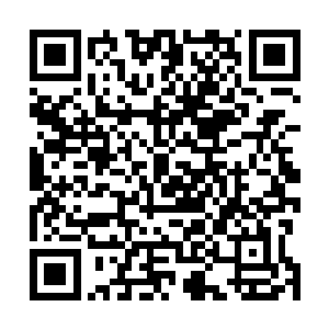 它所描绘的恐怖未来整个盘古宇宙都变成它身体的一部分二维码生成