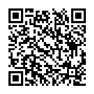 它搞不懂许紫烟的体内怎么会如同多出了五个东西二维码生成