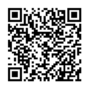 它无法想象要什么样的手段竟然连自爆都能阻止二维码生成