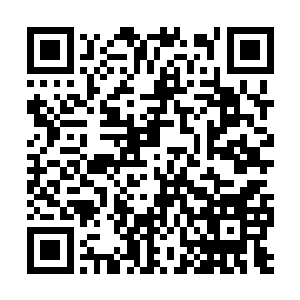 它暂时放松了对元始文明的幸存者和逃亡者的追击二维码生成