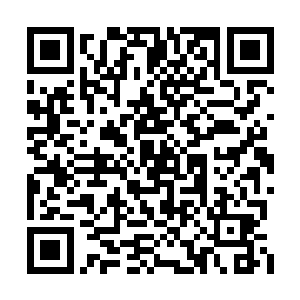 它极有可能是凭借灵能波动来扫描和锁定猎物的二维码生成