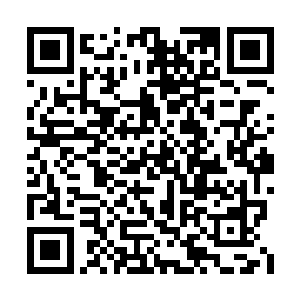 它的这个举动让炎黄部落的族人有点战战兢兢的二维码生成
