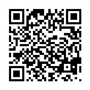 它的龟甲可能是长期在湖底石头上碰撞二维码生成