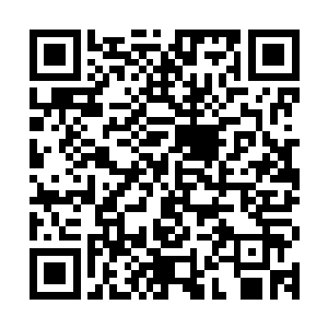 它腹部的一个斑点便由白变成红色……一直到蜕完全部的七次皮二维码生成