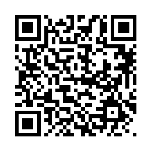 它还负责吞噬和消化大脑所需的养分二维码生成