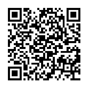 它这十几年拼命的修炼最大的原因就是为了保护染染二维码生成